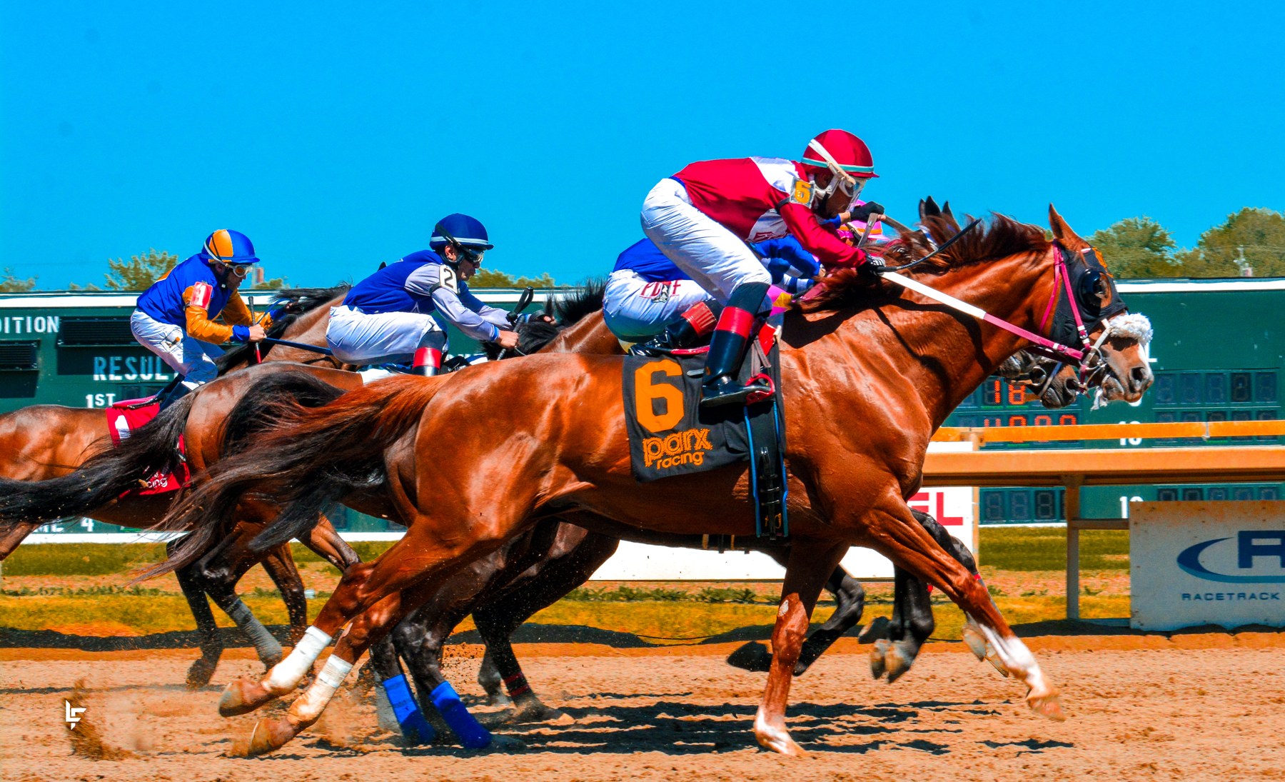 Thoroughbreds race past at Parx, with a jockey in red silks riding the number six horse.